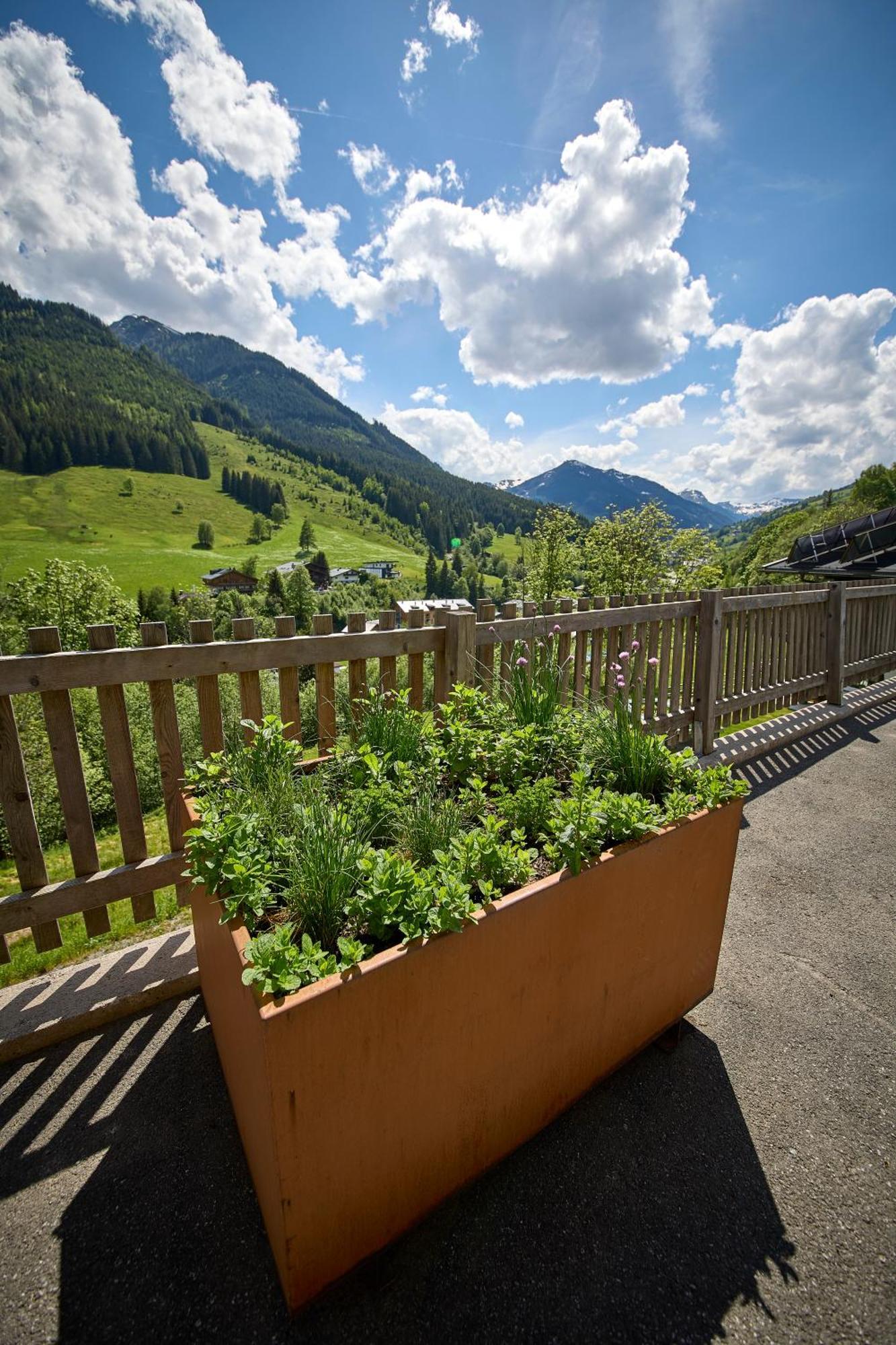 Drei Hittn Saalbach 아파트 외부 사진